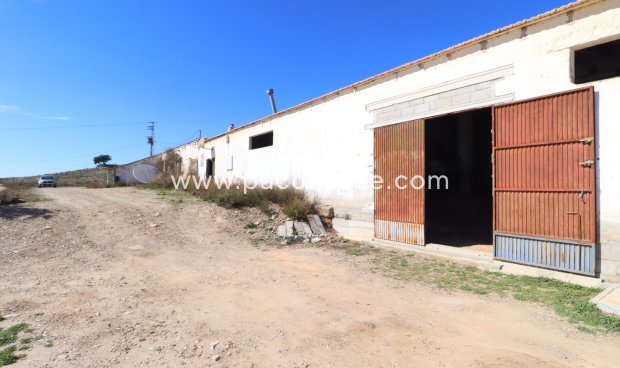 Resale - Cortijo -
Velez-Rubio