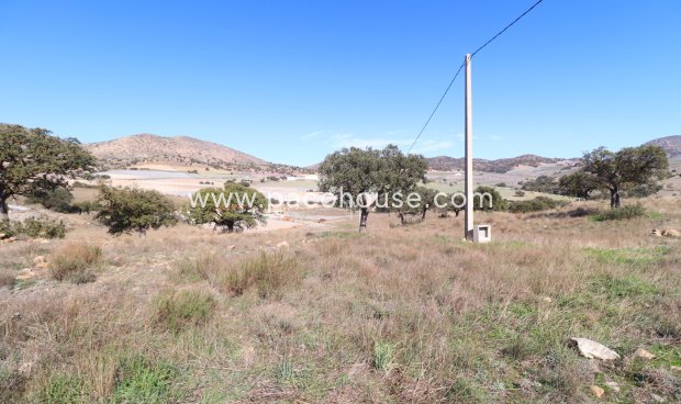 Resale - Cortijo -
Velez-Rubio