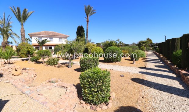 Resale - Villa -
Purias