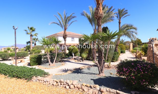 Resale - Villa -
Purias