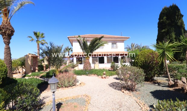 Resale - Villa -
Purias
