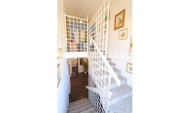 Resale - Villa -
Purias