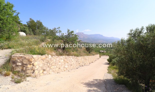 Resale - Country House -
Velez-Blanco