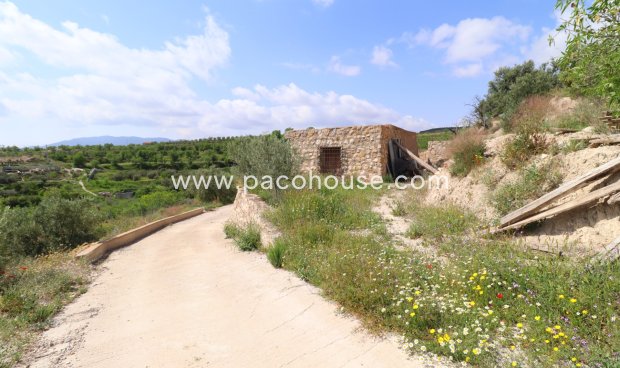 Resale - Country House -
Velez-Blanco