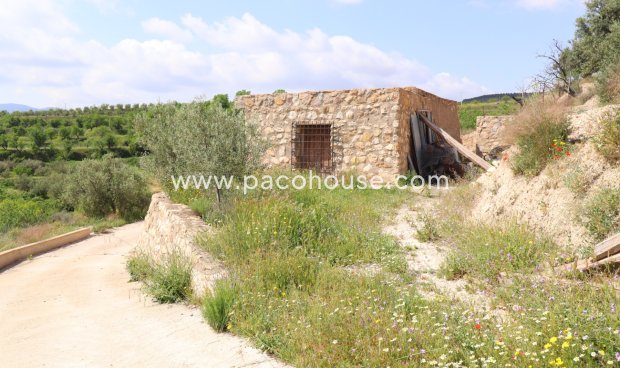 Resale - Country House -
Velez-Blanco
