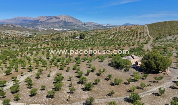 Resale - Country House -
Velez-Rubio