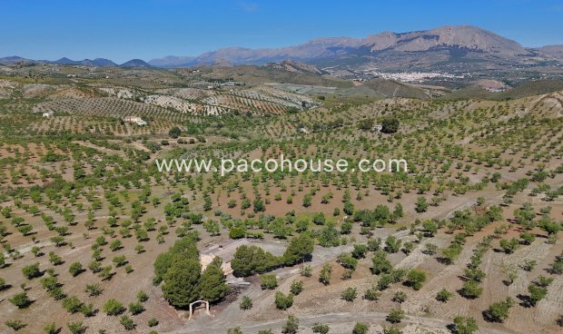 Resale - Country House -
Velez-Rubio