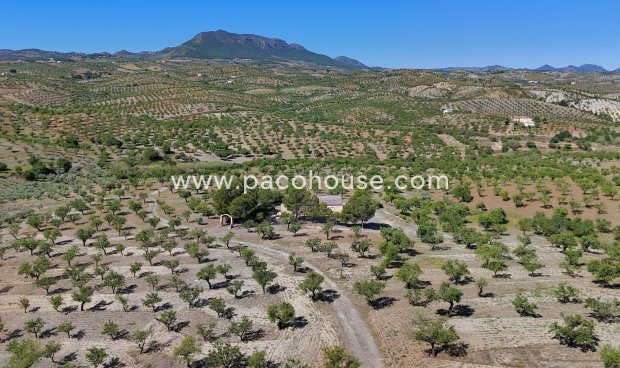 Resale - Country House -
Velez-Rubio