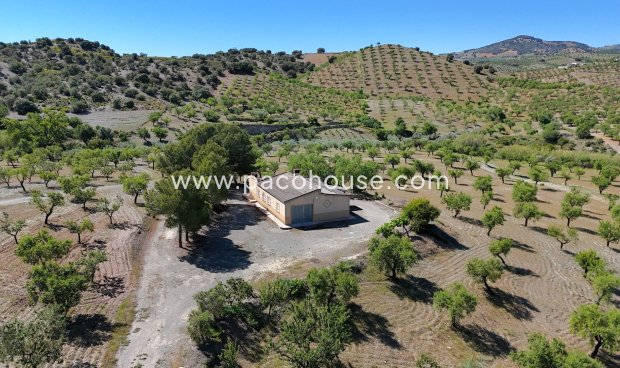 Resale - Country House -
Velez-Rubio