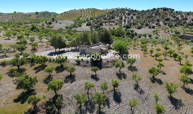 Resale - Country House -
Velez-Rubio