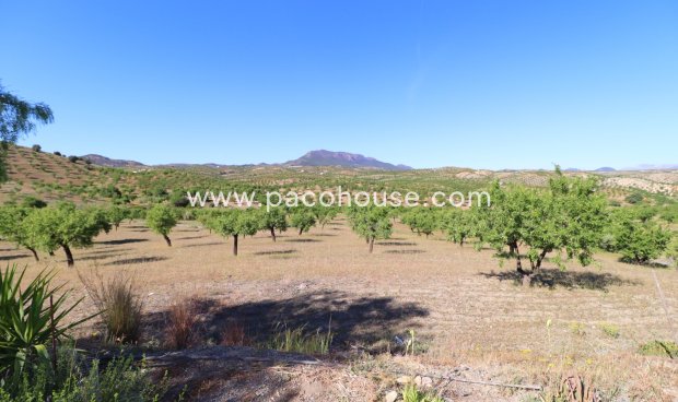 Resale - Country House -
Velez-Rubio