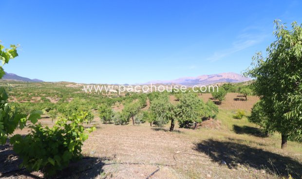 Resale - Country House -
Velez-Rubio