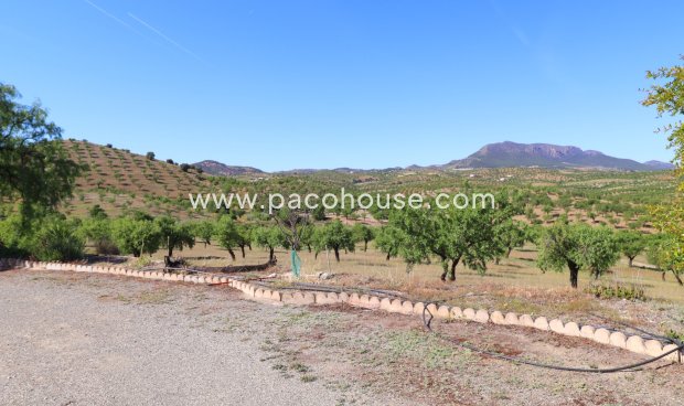 Resale - Country House -
Velez-Rubio
