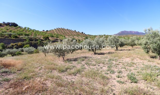 Resale - Country House -
Velez-Rubio
