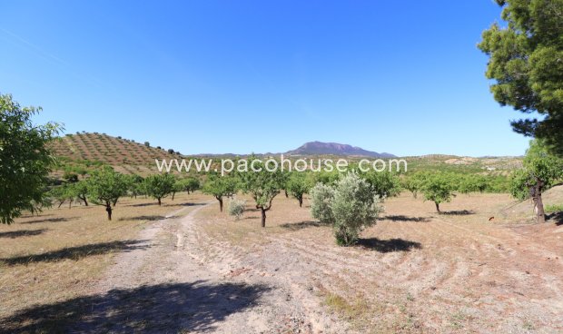 Resale - Country House -
Velez-Rubio