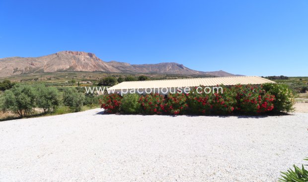 Resale - Cortijo -
Velez-Blanco