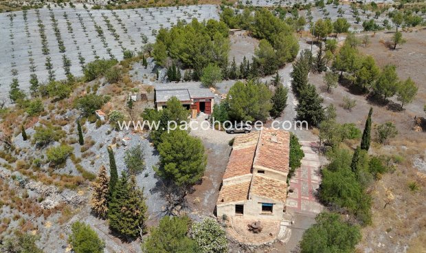 Resale - Cortijo -
Zarzalico