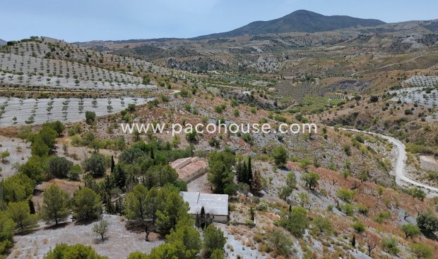 Resale - Cortijo -
Zarzalico