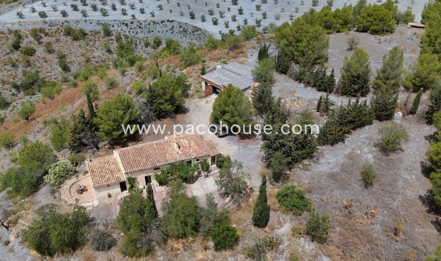 Resale - Cortijo -
Zarzalico