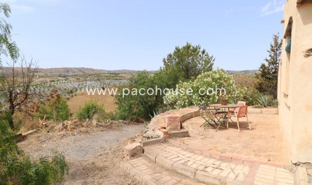 Resale - Cortijo -
Zarzalico