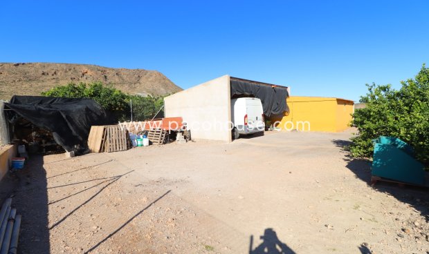 Resale - Country House -
Purias