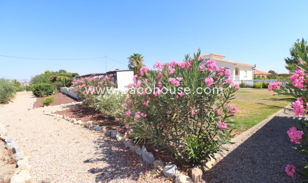 Resale - Villa -
Lorca