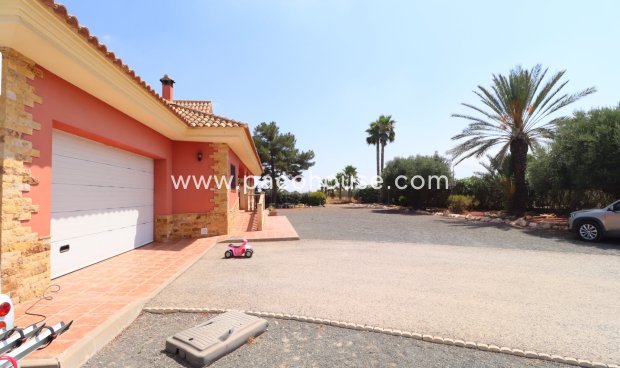 Resale - Villa -
Lorca