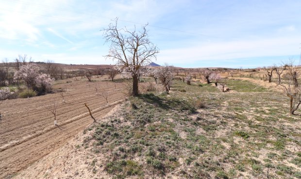 Resale - Cortijo -
Chirivel