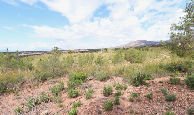 Reventa - Villa -
Aledo