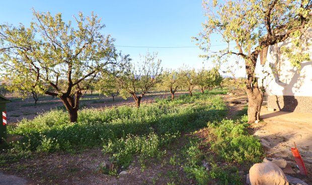 Resale - Country House -
Lorca