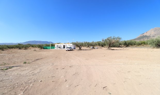 Reventa - Parcela / Terreno -
Velez-Blanco