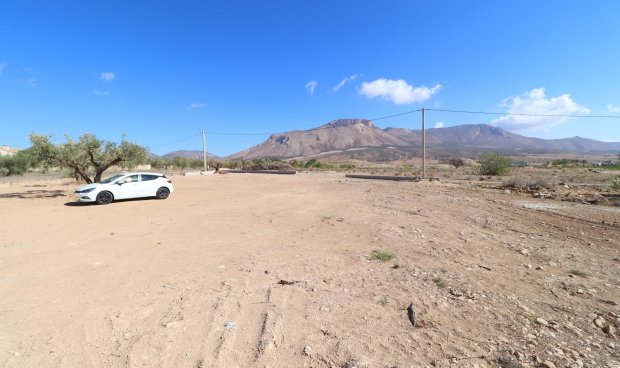 Reventa - Parcela / Terreno -
Velez-Blanco