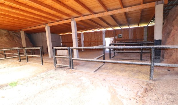 Resale - Country House -
Aguilas