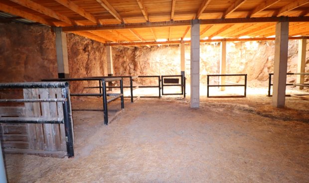 Resale - Country House -
Aguilas