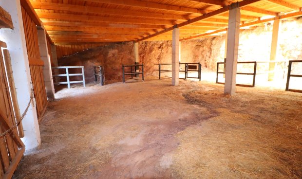 Resale - Country House -
Aguilas