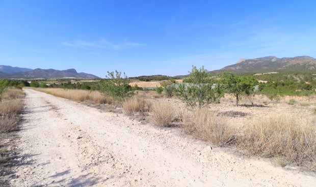 Reventa - Parcela / Terreno -
Zarzadilla De Totana