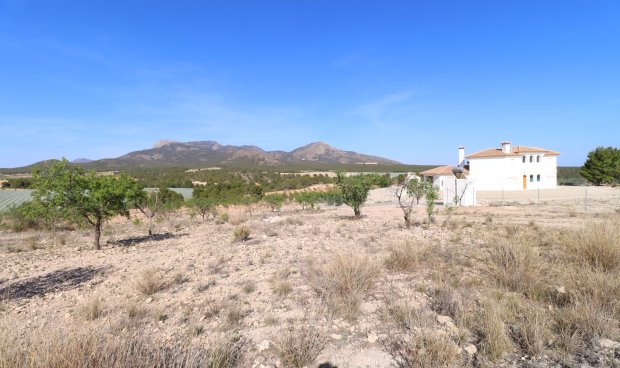 Reventa - Parcela / Terreno -
Zarzadilla De Totana