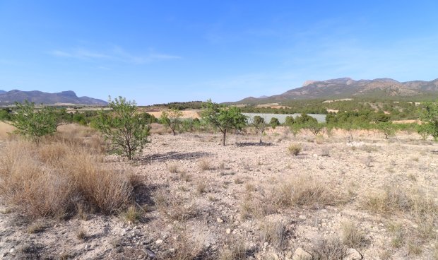 Reventa - Parcela / Terreno -
Zarzadilla De Totana