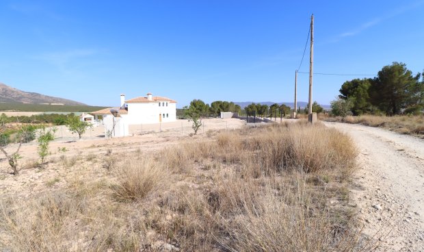 Reventa - Parcela / Terreno -
Zarzadilla De Totana