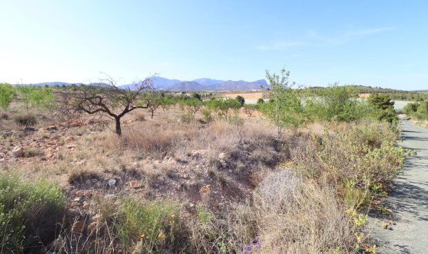 Reventa - Parcela / Terreno -
Zarzadilla De Totana
