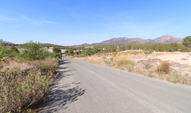 Reventa - Parcela / Terreno -
Zarzadilla De Totana