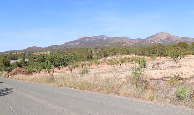 Reventa - Parcela / Terreno -
Zarzadilla De Totana