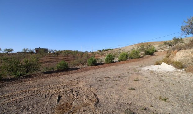 Resale - Country House -
Zarzalico