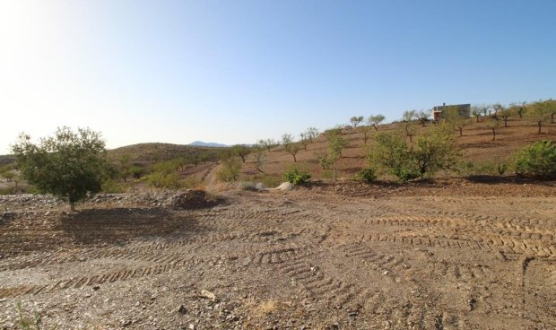 Resale - Country House -
Zarzalico