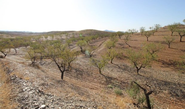 Resale - Country House -
Zarzalico