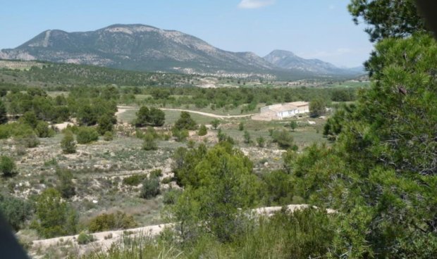 Resale - Plot / Land -
La Parroquia