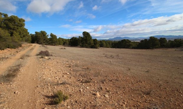 Resale - Plot / Land -
La Parroquia