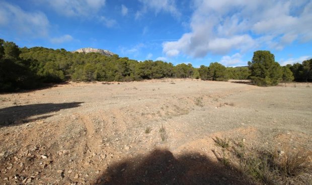 Resale - Plot / Land -
La Parroquia