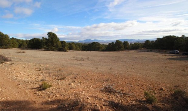 Resale - Plot / Land -
La Parroquia