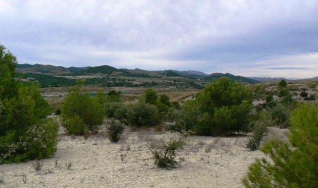 Reventa - Parcela / Terreno -
La Parroquia